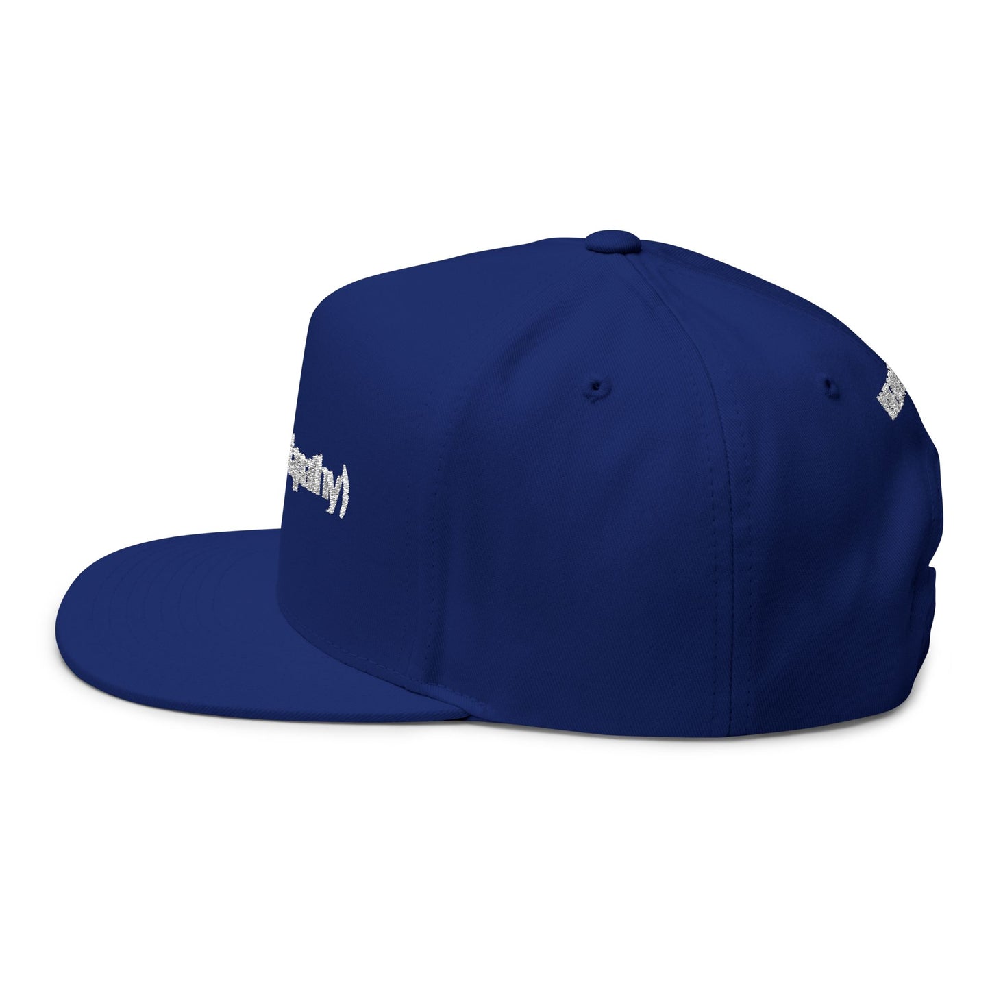 Against Apathy Embroidered Cap Blue/White