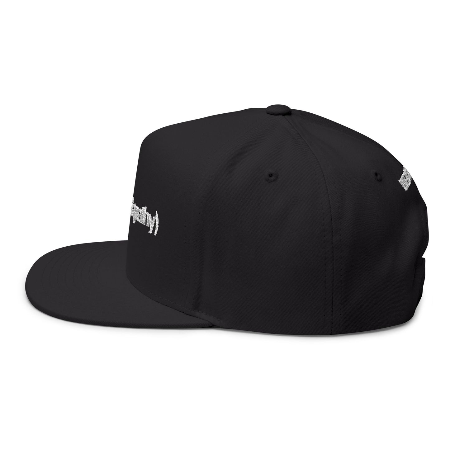 Against Apathy Embroidered Cap Black/White