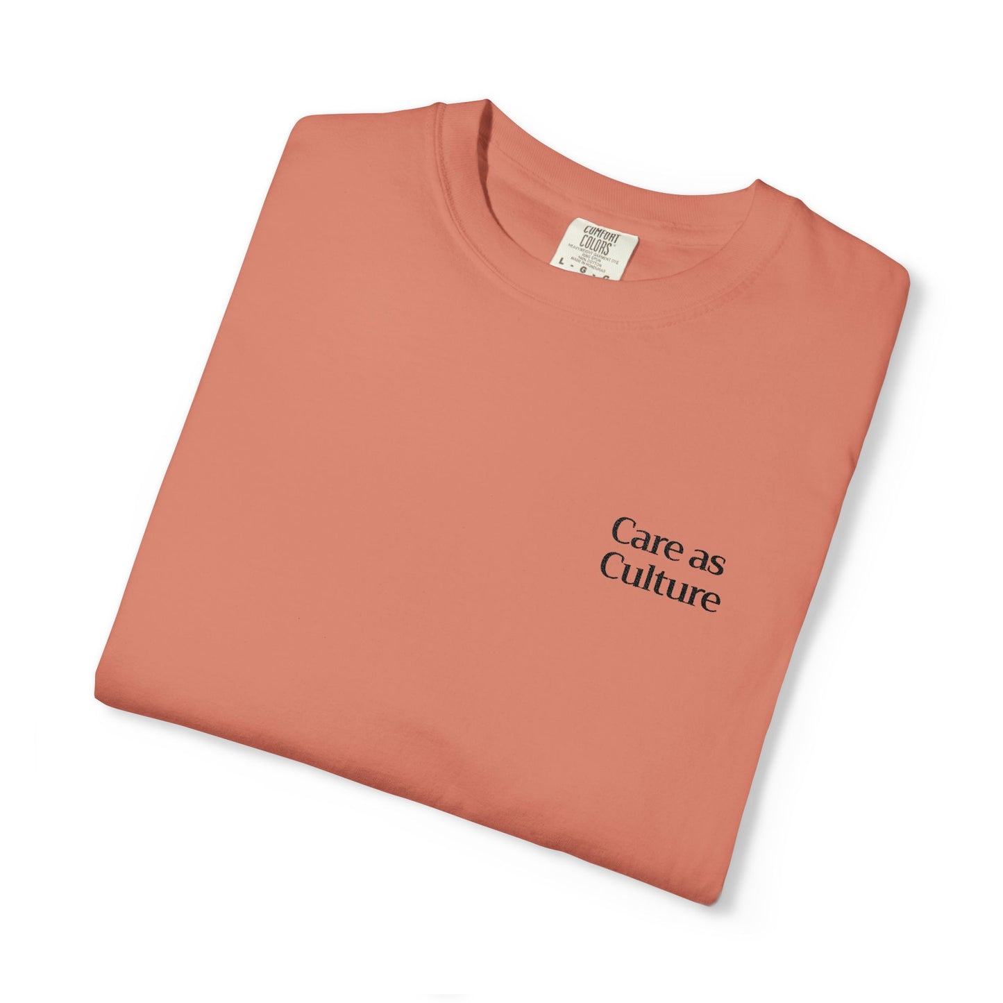 Care as Culture Embroidered Tee in Terracotta